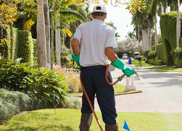 About Fort Hunter NY Pest Control